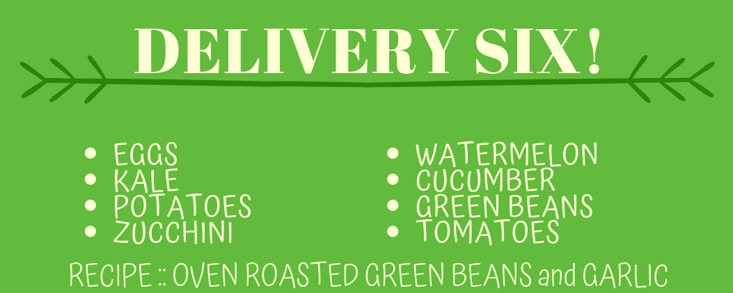 Delivery Six! (Recipe: Oven Roasted Green Beans and Garlic)